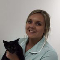 Rosie Harper - Veterinary Nurse